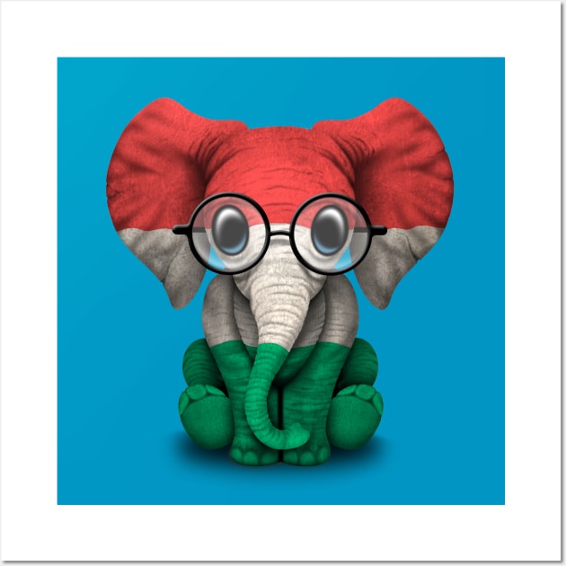 Baby Elephant with Glasses and Hungarian Flag Wall Art by jeffbartels